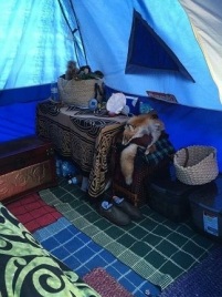 the other side of Janet's tent
