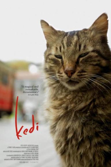 Documentary on Istanbul's cats